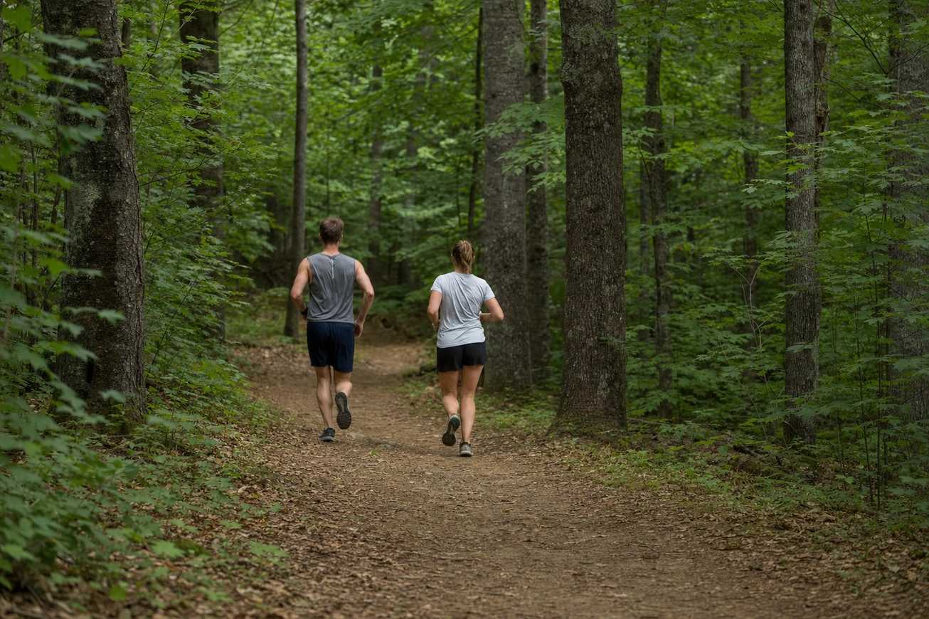 Two runners on a packed dirt forest trail seen from behind, wide view